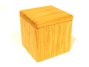 Spinning Lock Puzzle Box